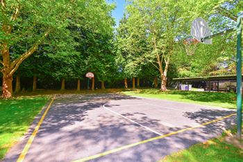 A basketball court surrounded by trees and a basketball hoop